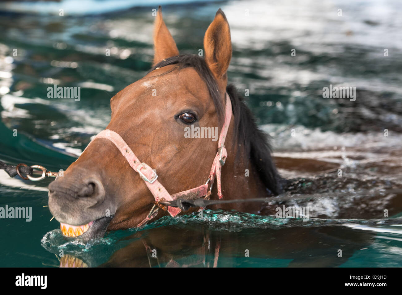 Deep Water Racing Stock Photos & Deep Water Racing Stock Images - Alamy