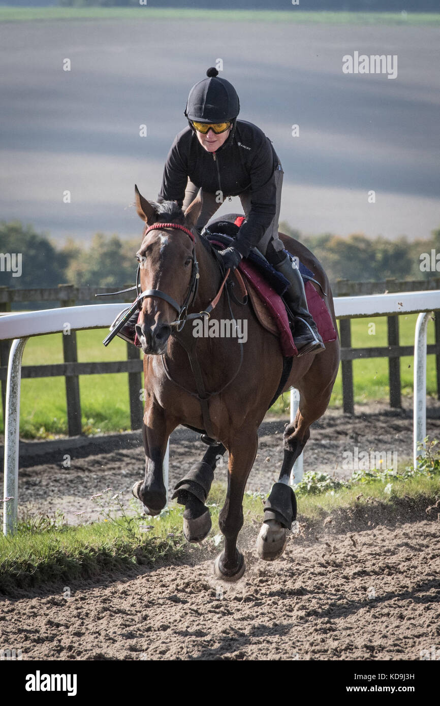 Kings racing colours hi-res stock photography and images - Alamy