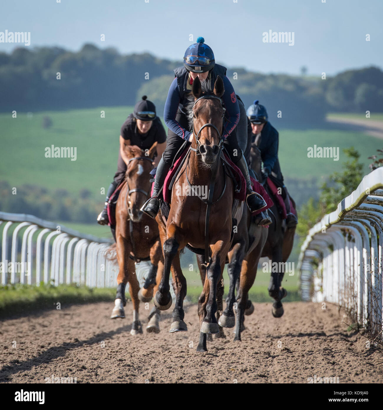 Racehorses head on hi-res stock photography and images - Alamy