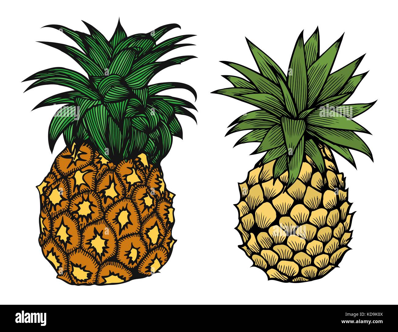 Two Cartoon pineapple fruit. Vector illustration for children Stock ...