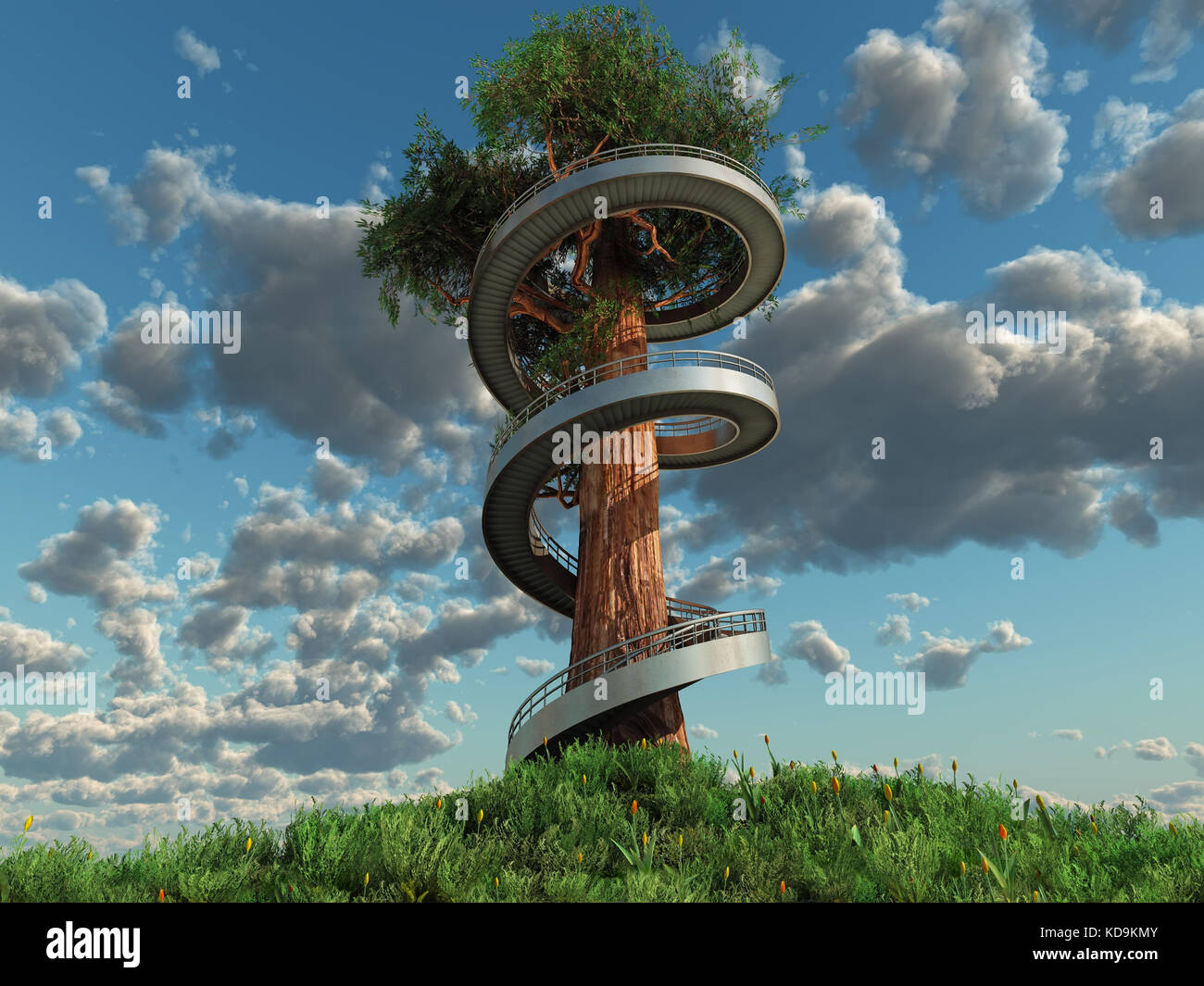 spiral staircase around a tall old tree Stock Photo Alamy