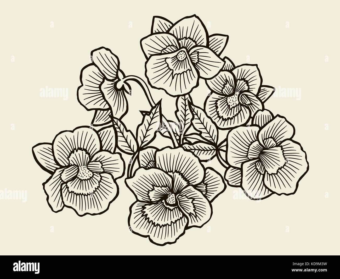 Vector sketch of Orchid flower blossom. Hand drawn illustration Stock ...