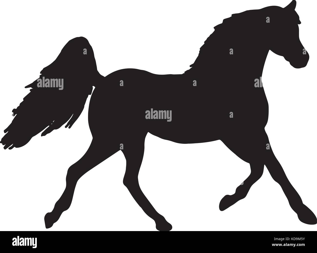 rearing up horse fine vector silhouette and outline - graceful black ...