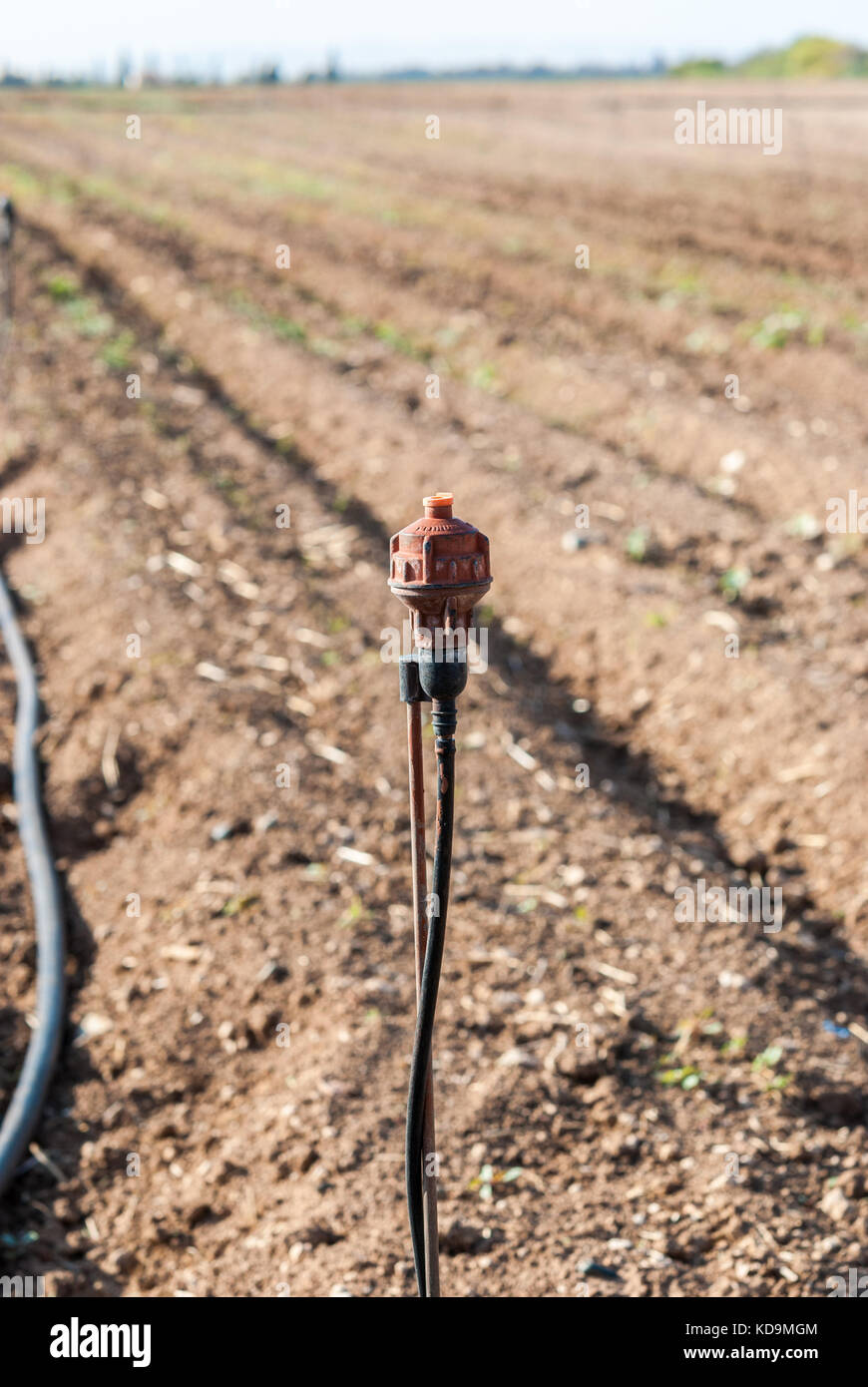 Sprinkler field irrigation system on agricultural land Stock Photo - Alamy