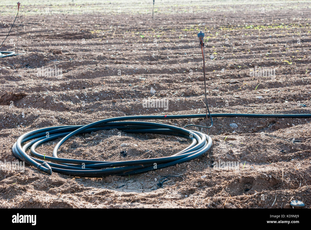 Sprinkler field irrigation system on agricultural land Stock Photo - Alamy