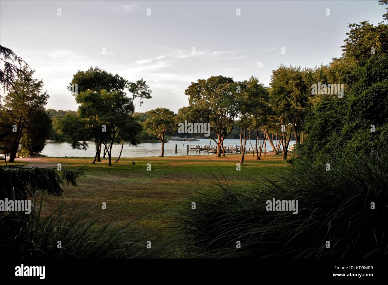 Trees by the lake Stock Photo - Alamy