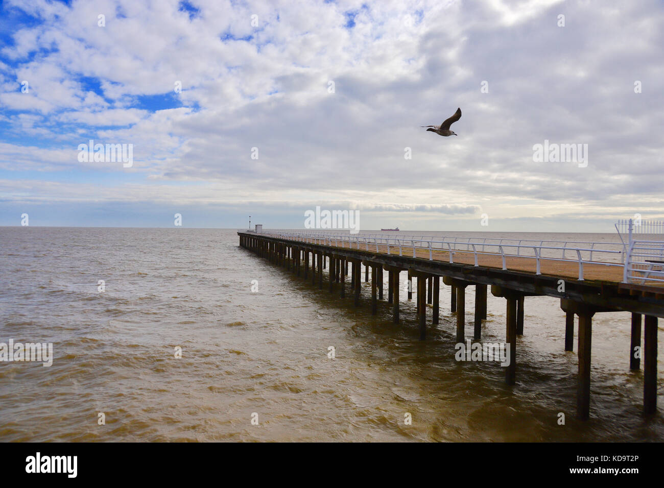 Felixstowe, Suffolk, UK. 11th Oct, 2017. UK Weather: Cloudy skies and seabirds over the pier on a breezy October aftenoon. Felixstowe, Suffolk. Credit: Angela Chalmers/Alamy Live News Stock Photo