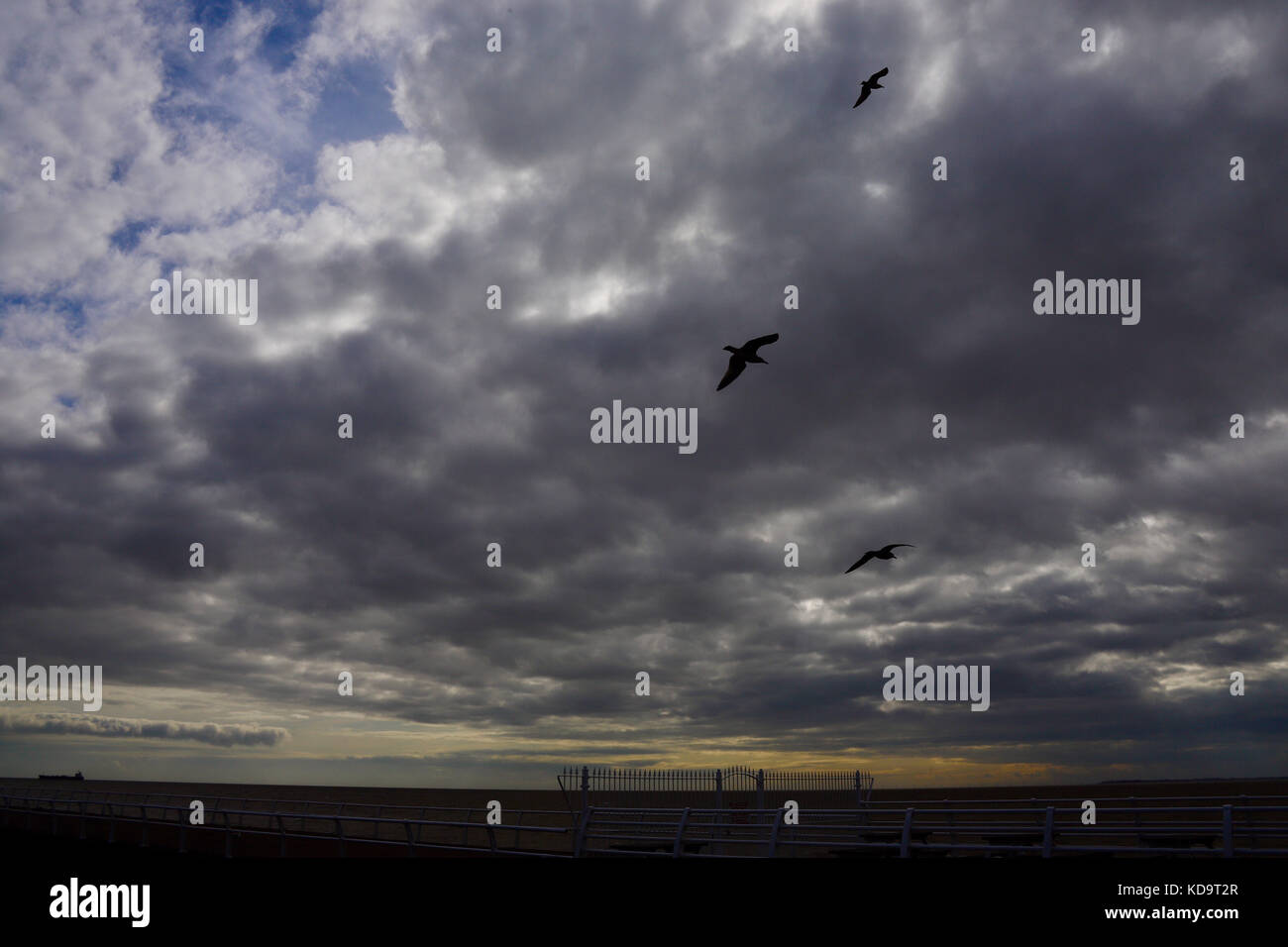 Felixstowe, Suffolk, UK. 11th Oct, 2017. UK Weather: Cloudy skies and seabirds over the pier on a breezy October aftenoon. Felixstowe, Suffolk. Credit: Angela Chalmers/Alamy Live News Stock Photo