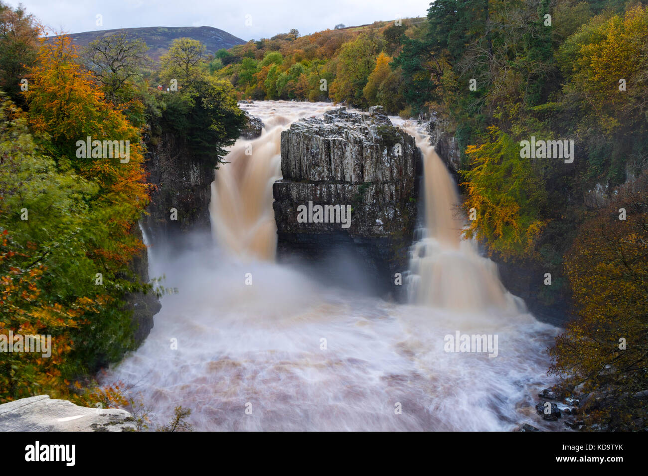 High Force, Upper Teesdale, County Durham, UK.  Wednesday 11th October 2017.  UK Weather.  After a day of heavy rain in Cumbria and the North Pennines, High Force on the River Tees looked spectacular as floodwater poured over the normally dry right hand fall.   Credit: David Forster/Alamy Live News Stock Photo