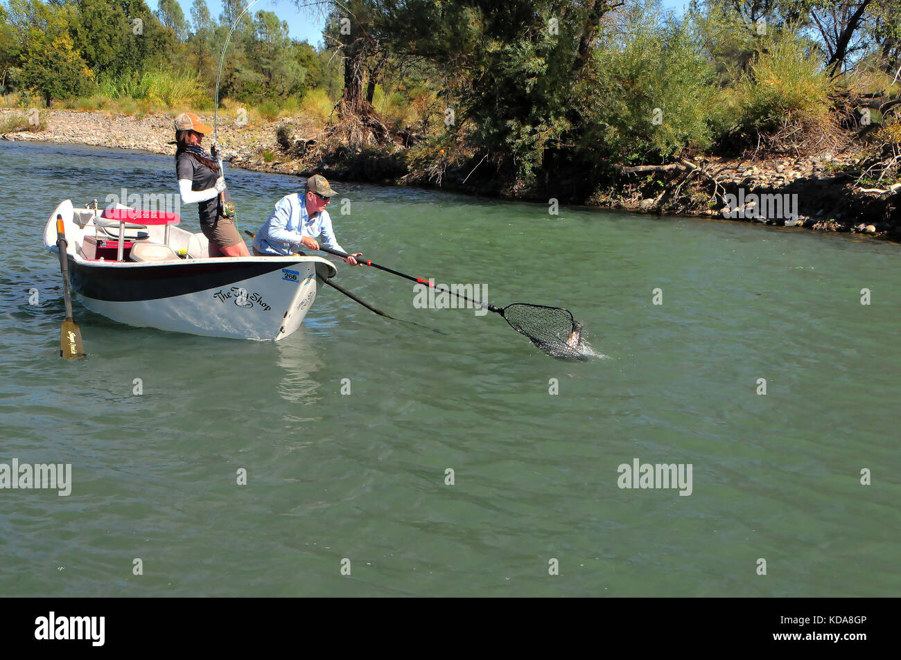 A good fly fishing guide can usually find productive trout fishing areas along California's