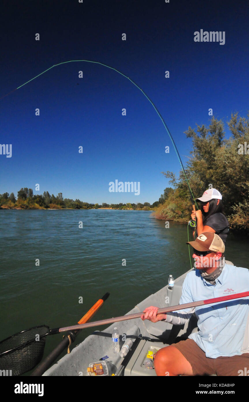 A good fly fishing guide can usually find productive trout fishing