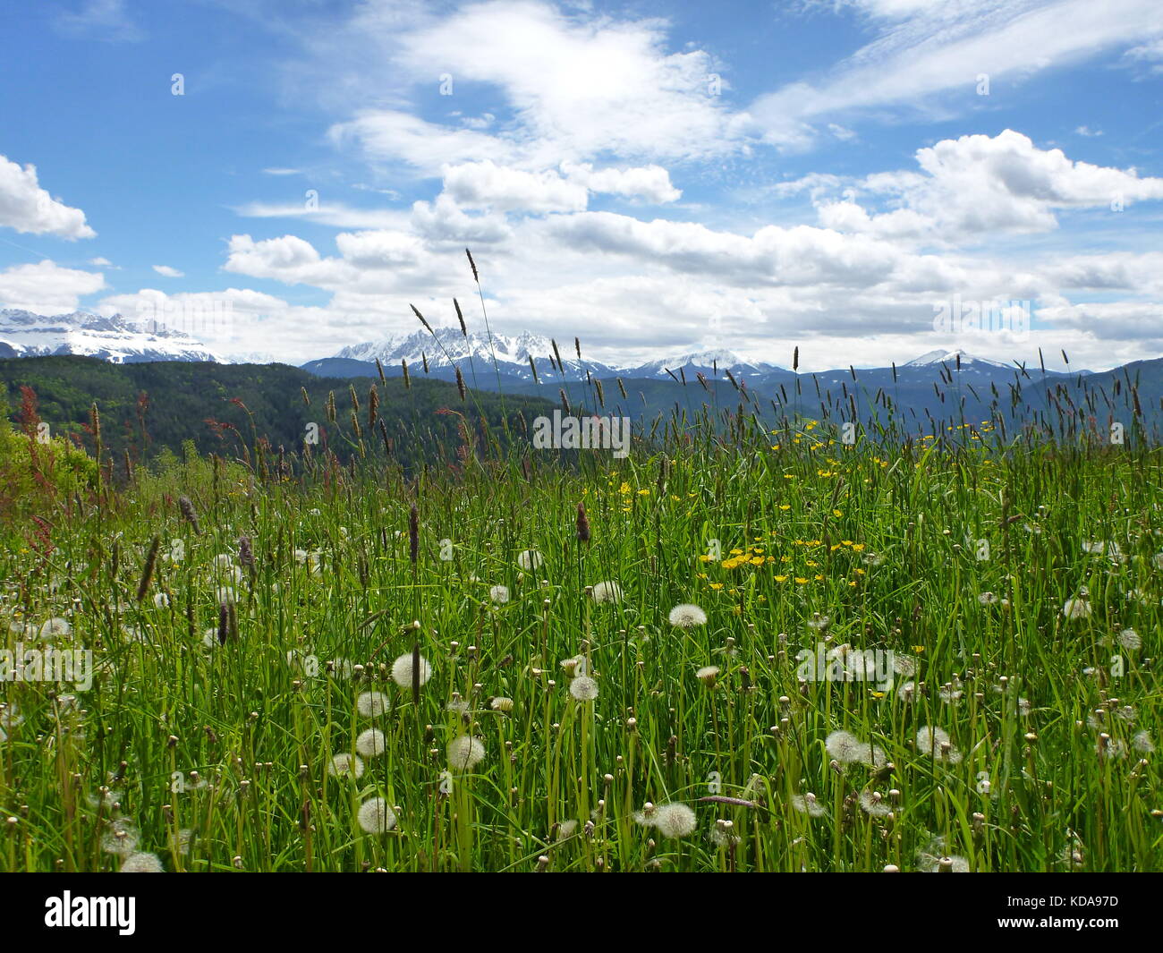 Landscape in the Dolomites (Italy Stock Photo - Alamy