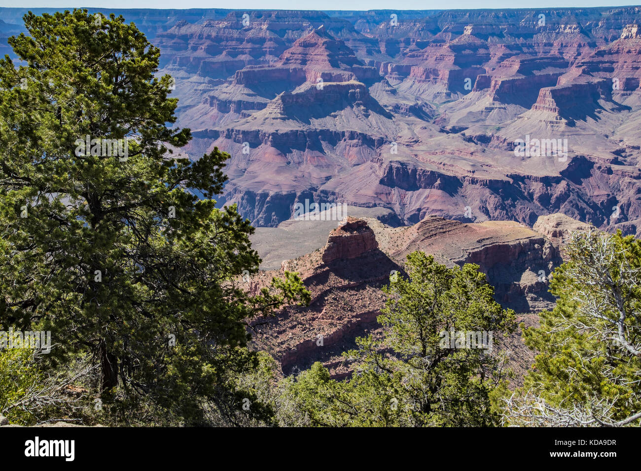 south rim of grand canyon, arizona, us Stock Photo - Alamy