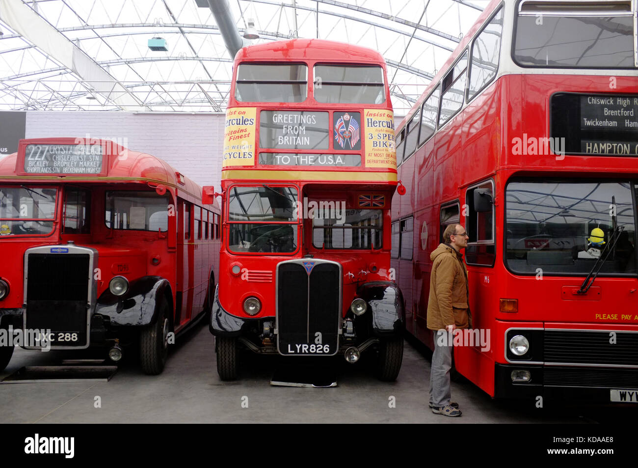 A man looks through the window of a bus in a public transport museum in Surrey. Stock Photo