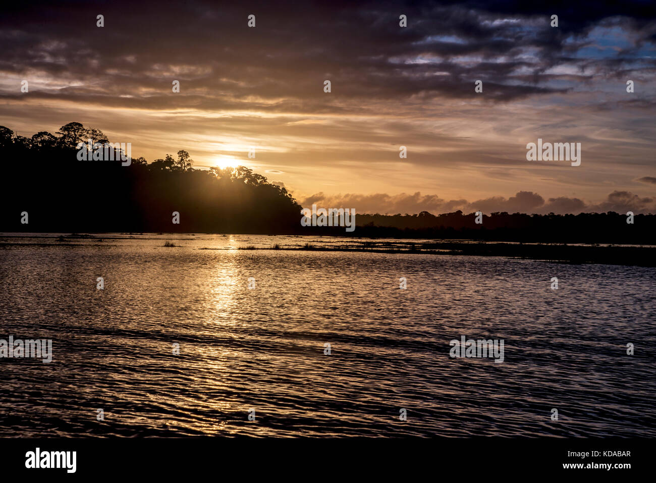 'Lagoa do Macuco (paisagem) fotografado em Linhares, Espírito Santo -  Sudeste do Brasil. Bioma Mata Atlântica. Registro feito em 2014.      ENGLISH:  Stock Photo