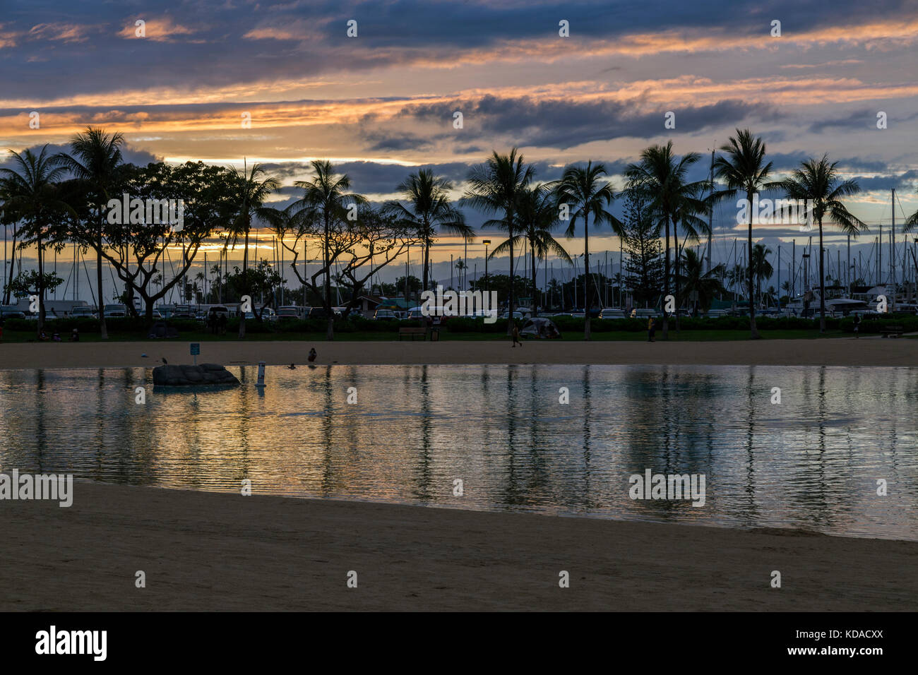 Silhouette of palm trees along the shore of Waikiki at sunset Stock ...