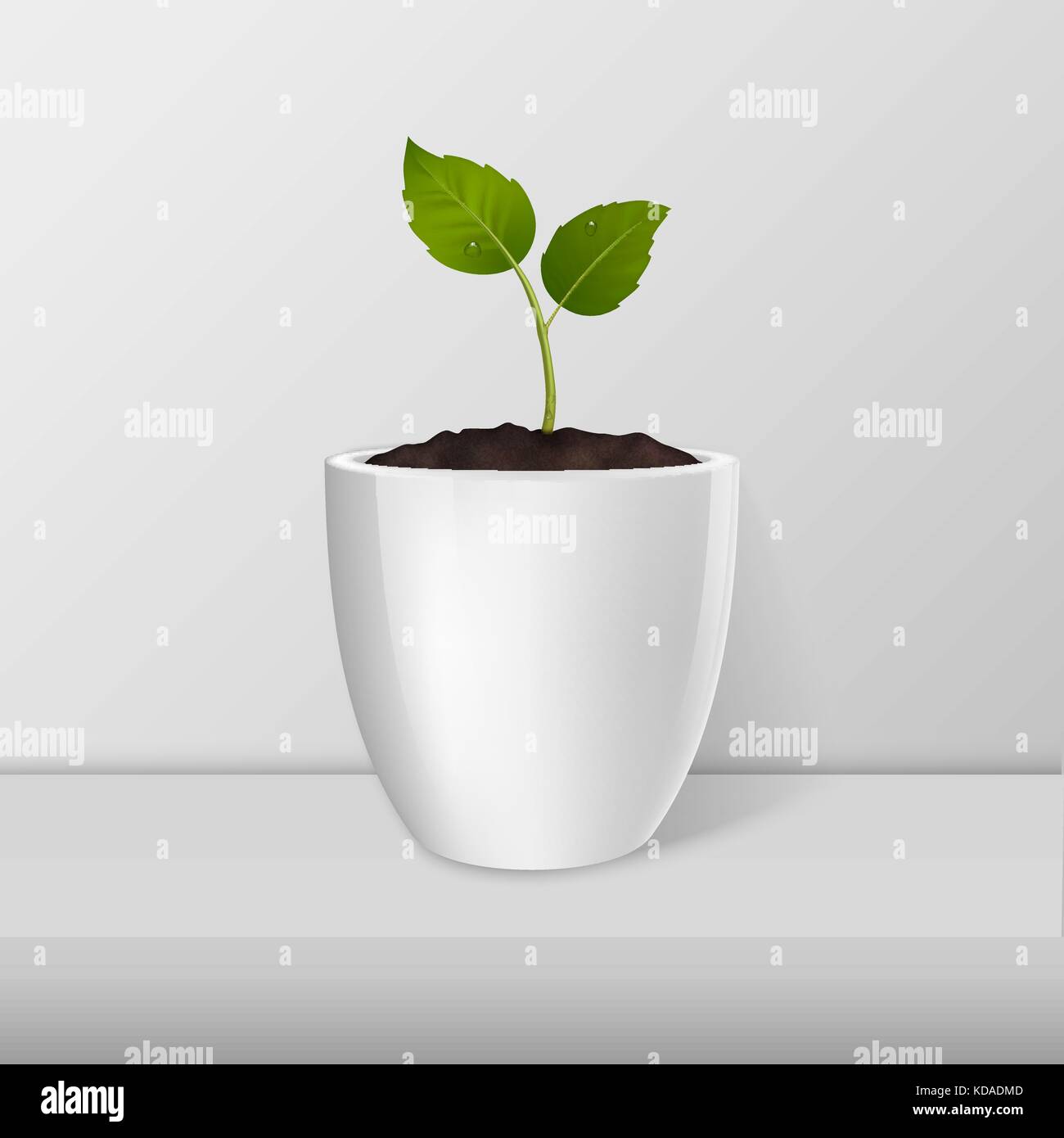 Download Ecology Concept Vector Sprout In A White Flower Pot Closeup Standing Stock Vector Image Art Alamy PSD Mockup Templates
