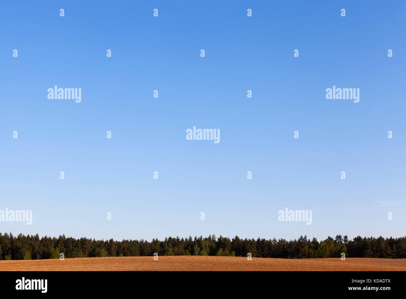 landscape with blue sky Stock Photo - Alamy
