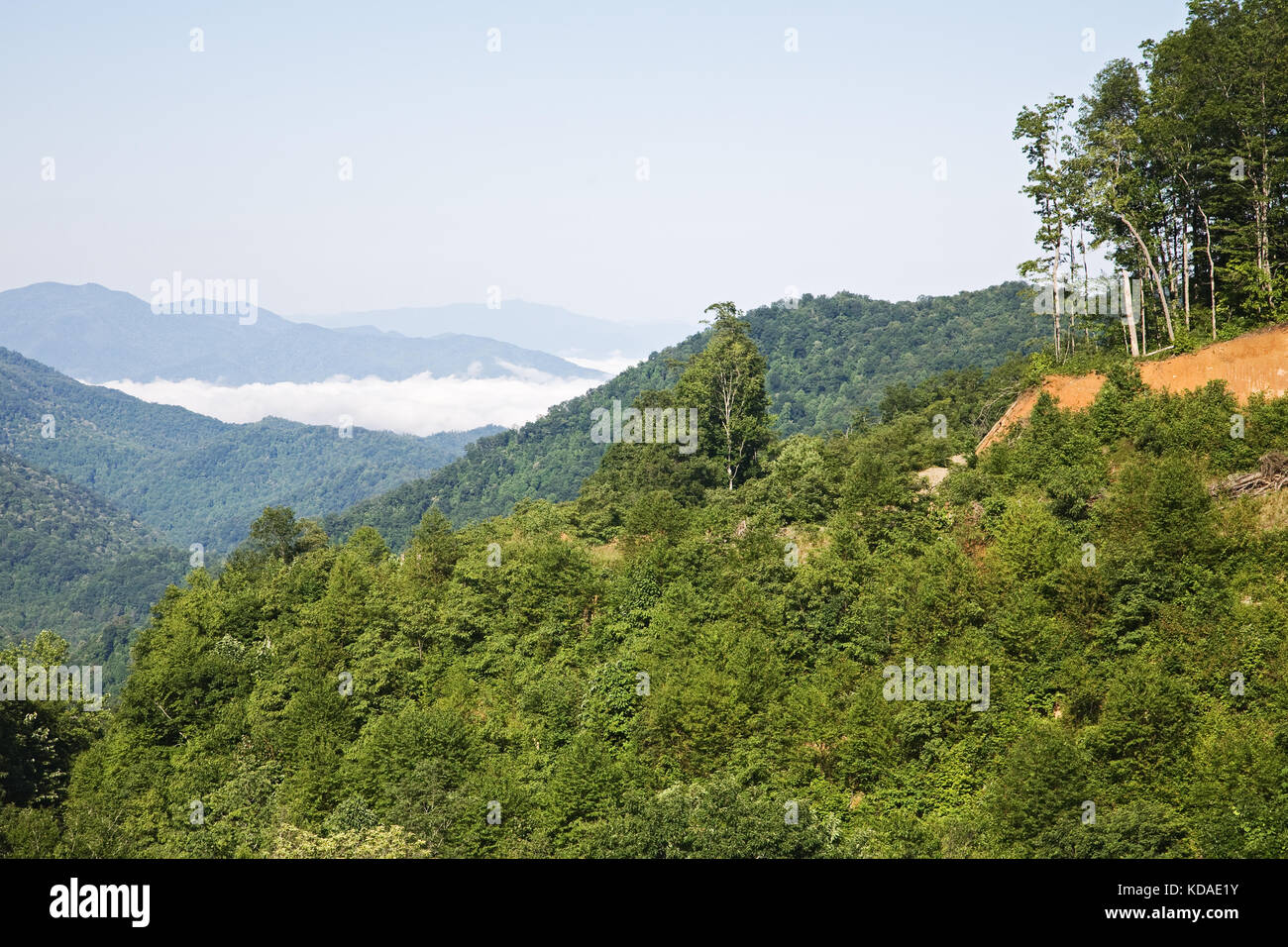 North Carolina Cherokee Indian Reservation wood Stock Photo - Alamy