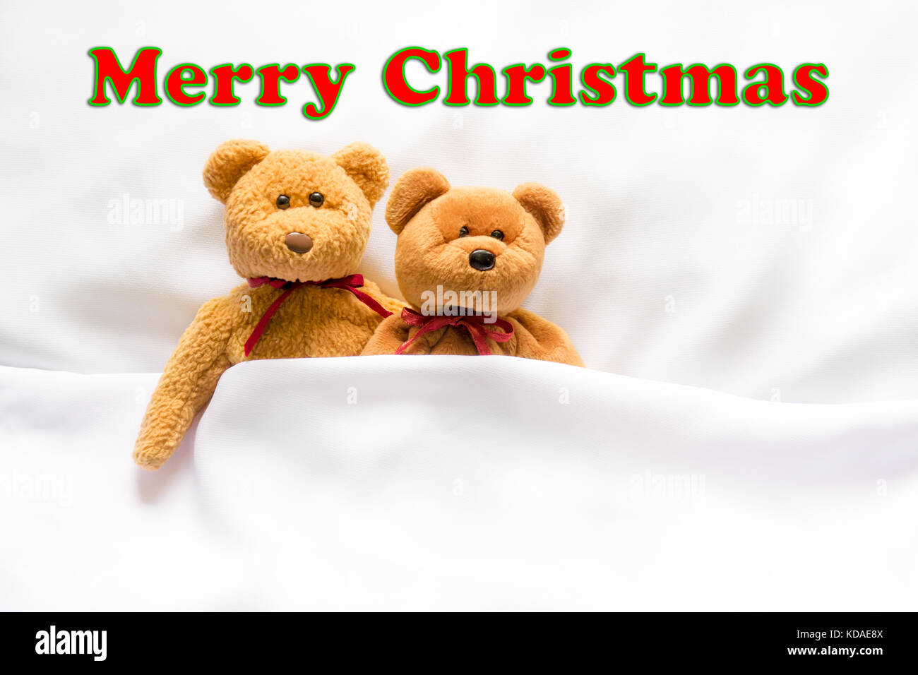 merry christmas teddy bear