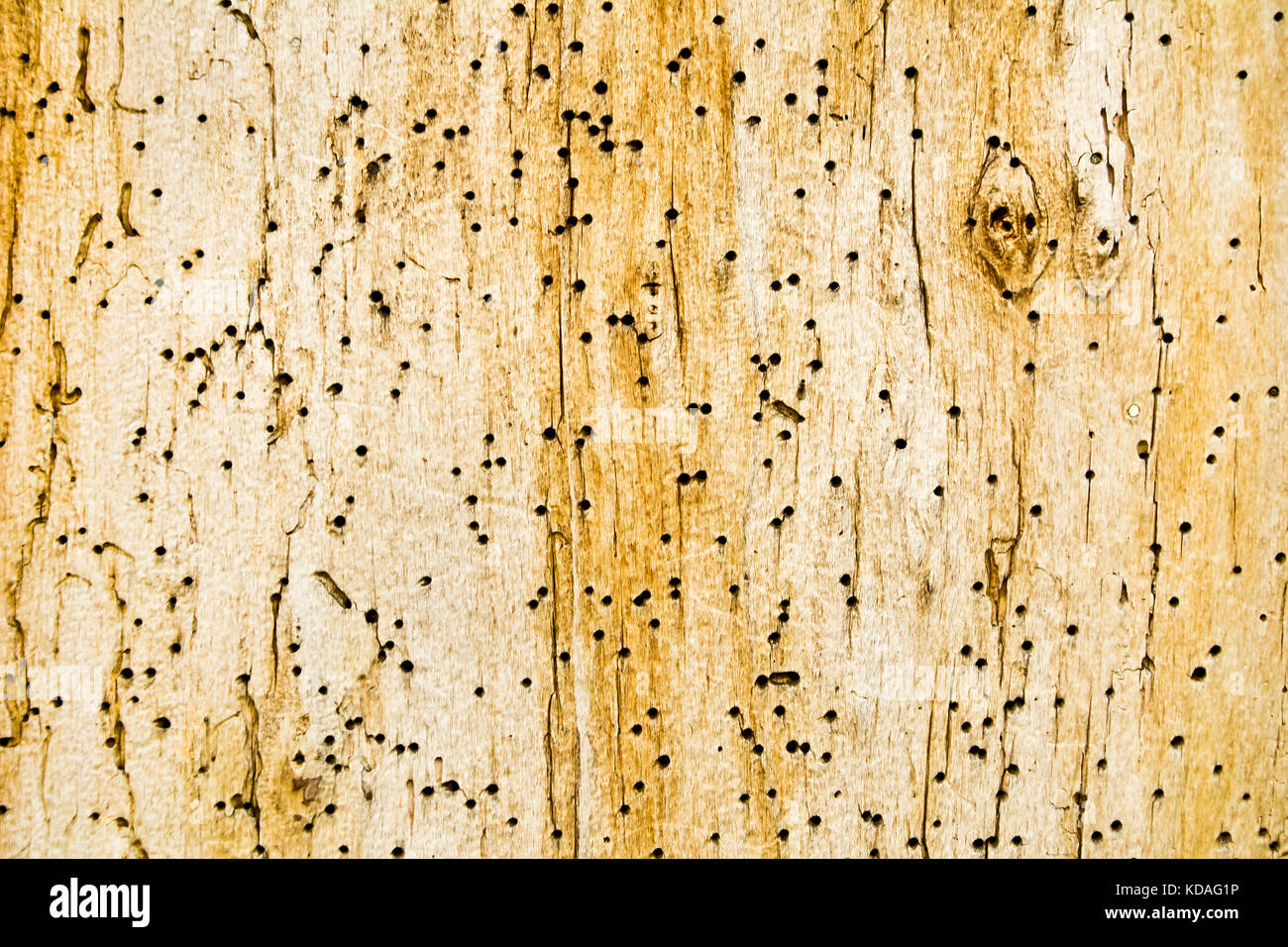 Fragment of wall of the old wooden building.Background. Stock Photo