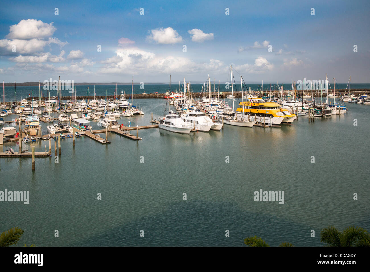 Luxury boats including some used for whale watching tourism moored at the  Hervey Bay Marina, Queensland, Australia Stock Photo