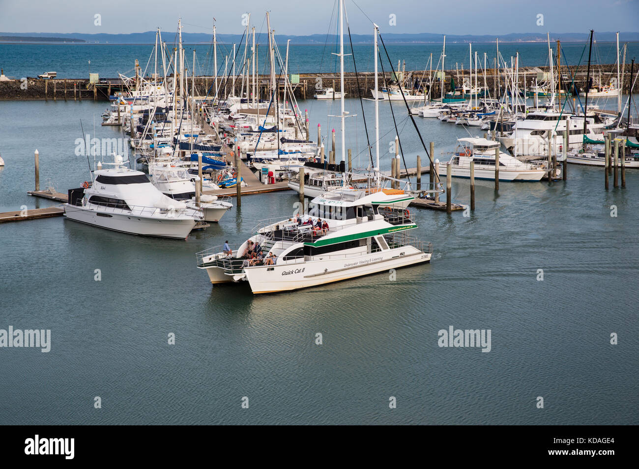 A whale watching tourism boat returns to the Hervey Bay Marina