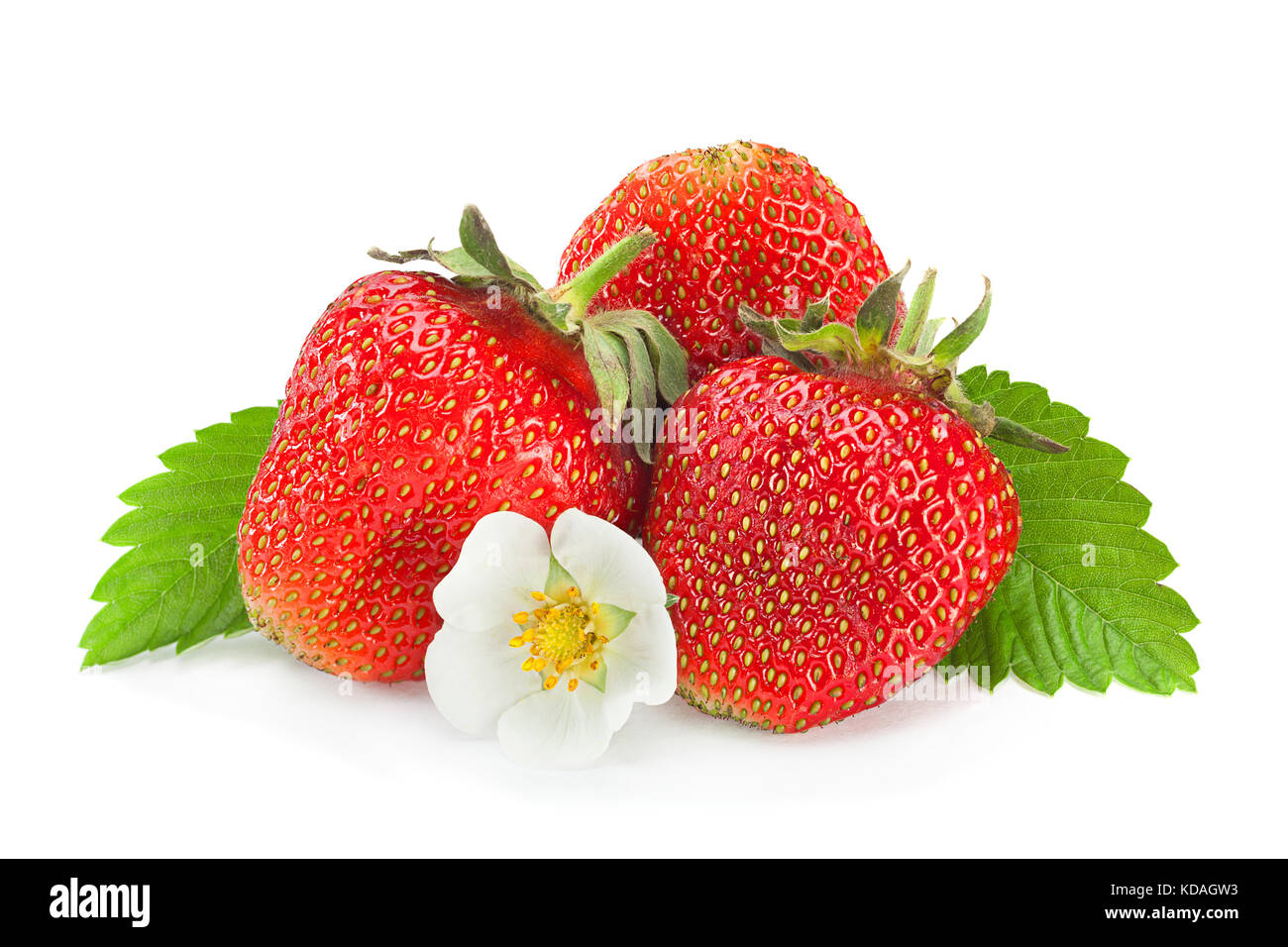 Strawberry fruit closeup isolated in white background Stock Photo - Alamy