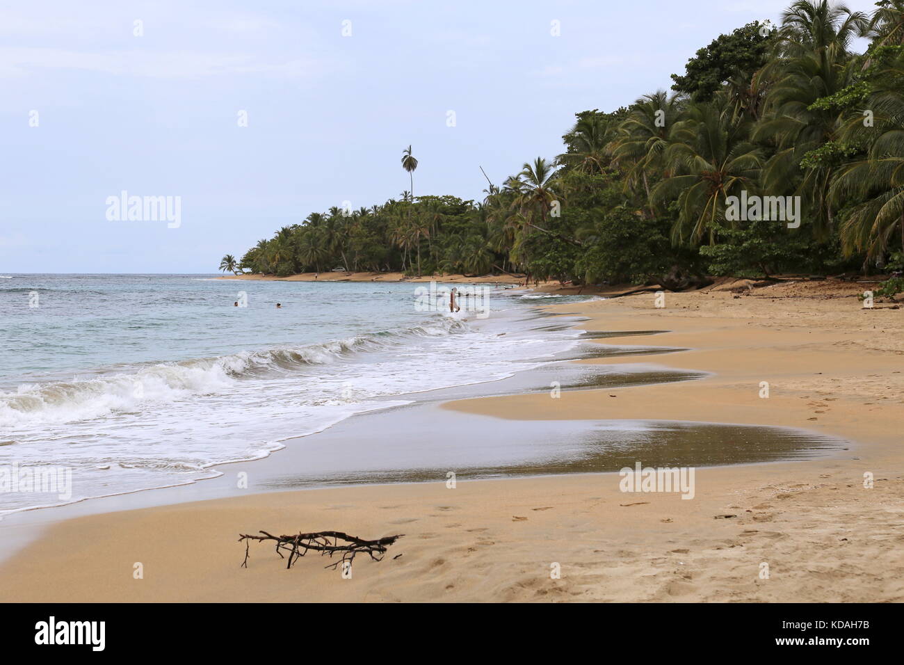 Playa Punta Uva Arrecife, Puerto Viejo de Talamanca, Limón province, Caribbean Sea, Costa Rica, Central America Stock Photo