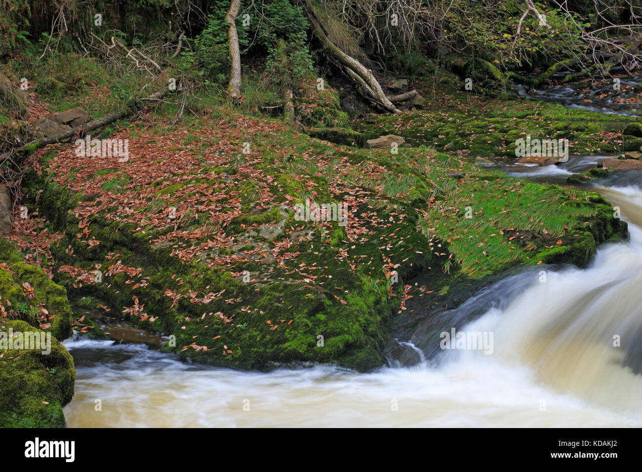 Sgwd Isaf Clun-Gwyn Waterfall in the Brecon Beacons National Park Stock Photo