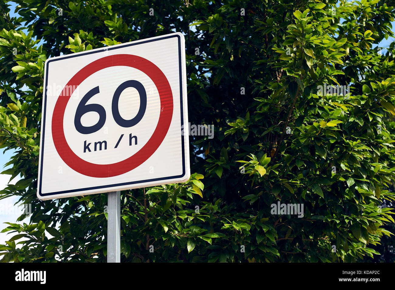 60 kmh speed limit sign on Paseo de Montejo avenue in Merida, Yucatan, Mexico Stock Photo