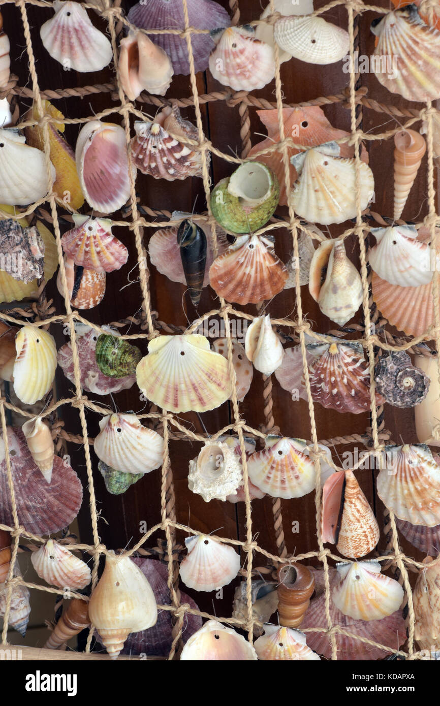 Seashells hanging hi-res stock photography and images - Alamy