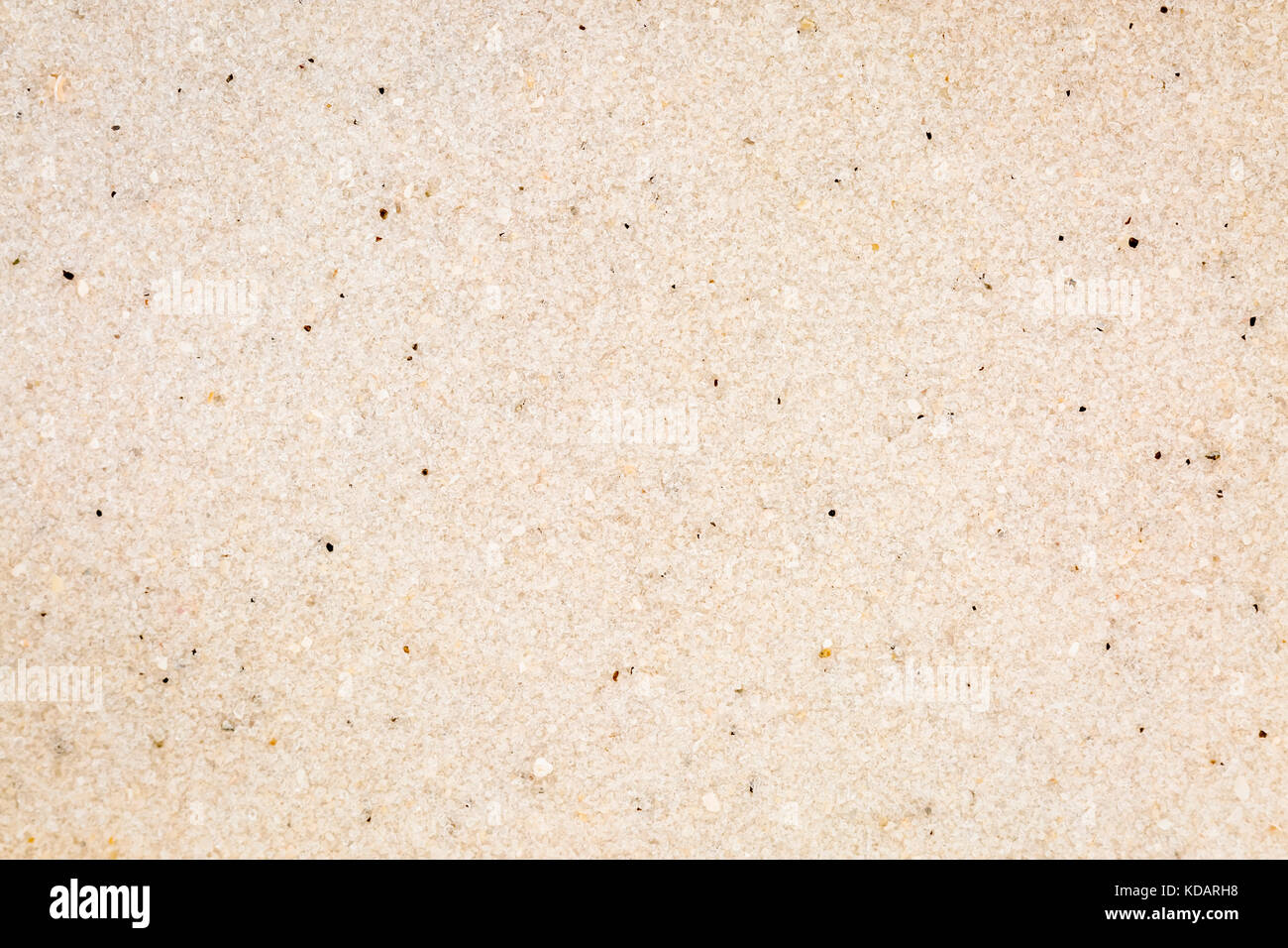 life size macro of  white sand grain from Clearwater Beach, Pineallas County, Florida Stock Photo