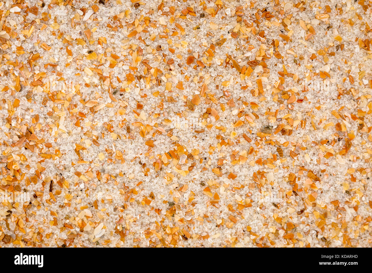 life size macro of colorful sand grain from Daytona Beach, Volusia County, Florida Stock Photo