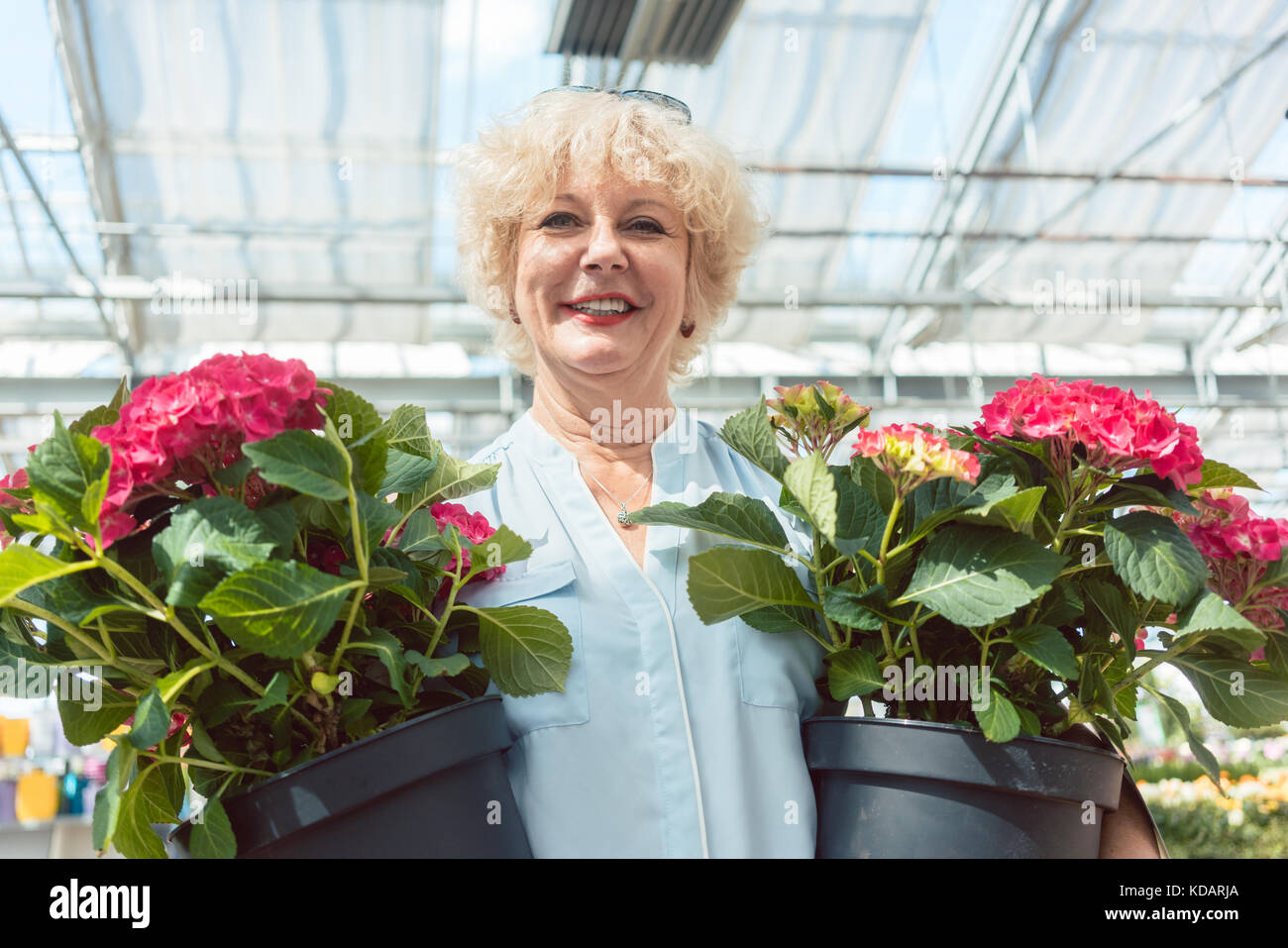 Portrait of an active senior woman holding two potted ornamental Stock ...