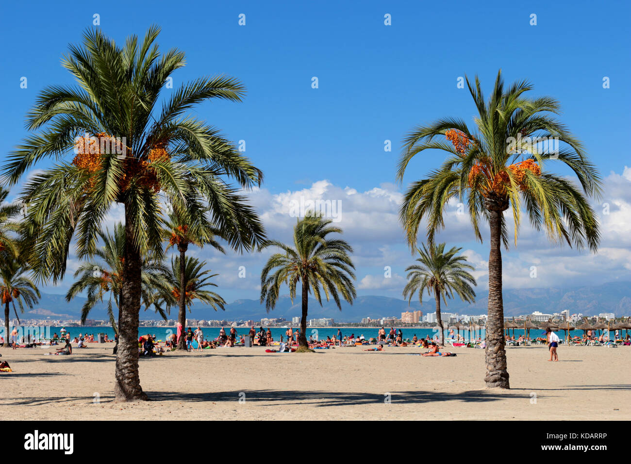 Baleares Mallorca S Arenal Playa De Palma Stock Photo