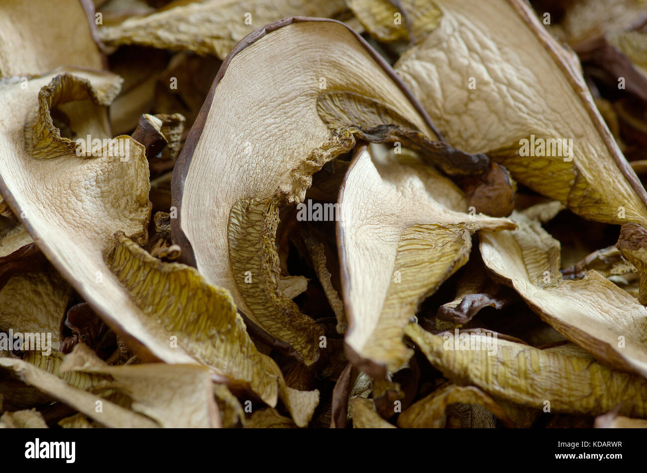 Dried edible mushrooms have an interesting structure. They are used as