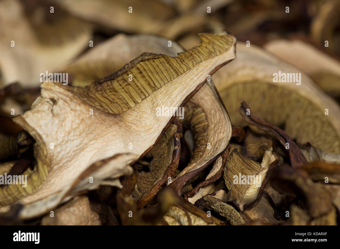 Dried edible mushrooms have an interesting structure. They are used as