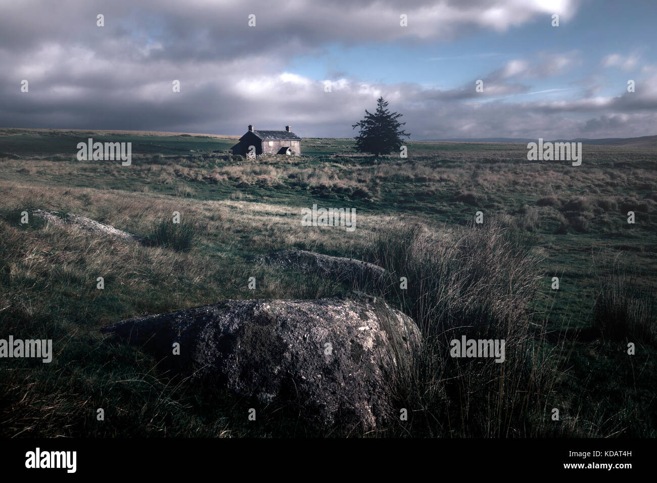 Nun's Cross Farm, Dartmoor, Devon, England, United Kingdom Stock Photo