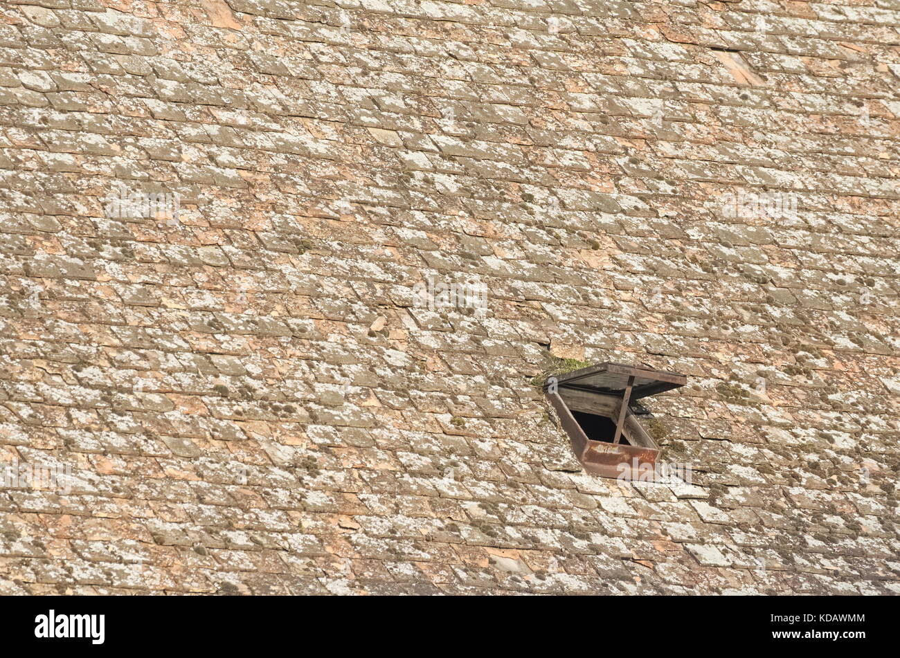 Small Roof Window on the Textured Roof Stock Photo Alamy