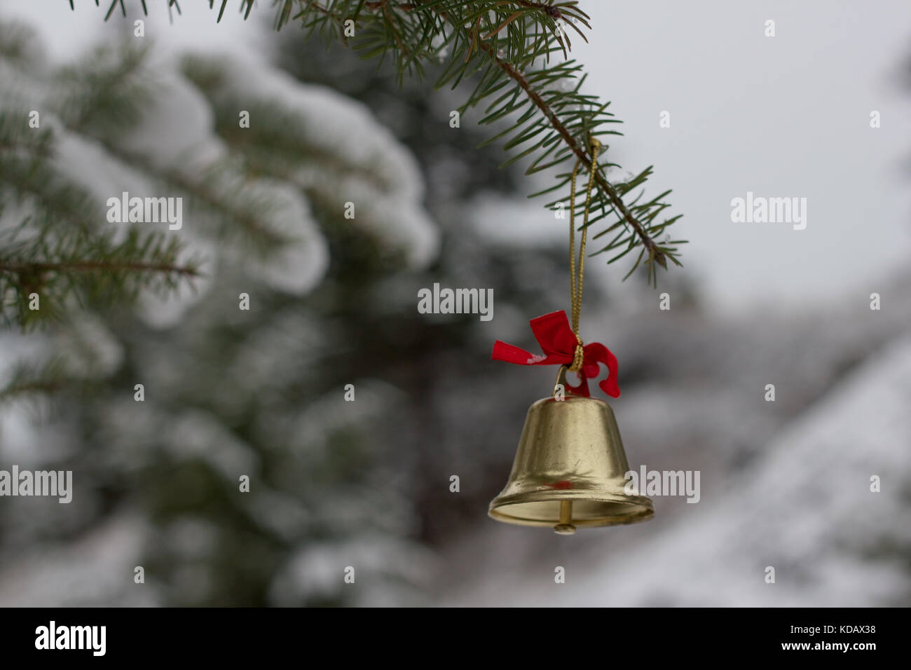 Gold Christmas bell with red ribbon on an evergreen tree branch outdoors on a snowy day Stock Photo
