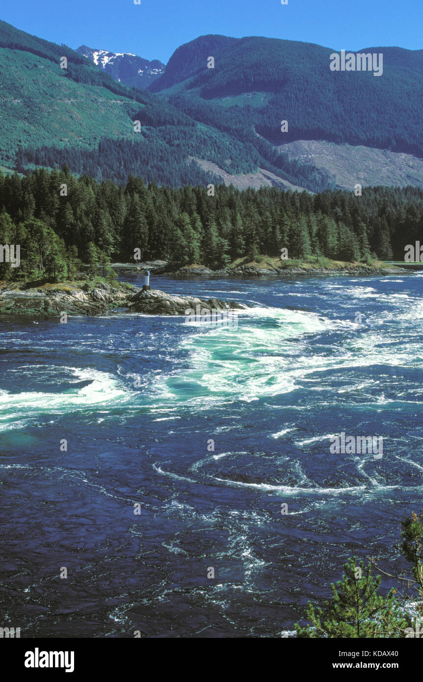 Skookumchuck Narrows, Sunshine Coast, British Columbia, Canada Stock