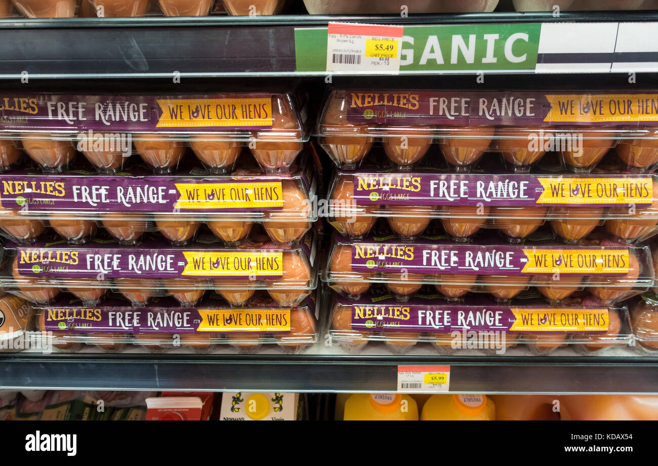 Nellies Free Range Eggs Stock Photo Alamy nellies-free-range-eggs-stock-photo-alamy