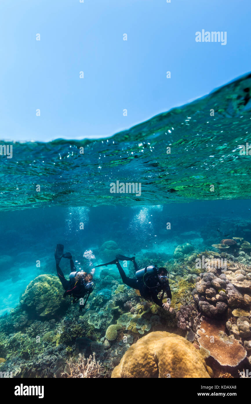 Split shot of divers exploring the coral formations of Agincourt Reef, Great Barrier Reef Marine Park, Port Douglas, Queensland, Australia Stock Photo