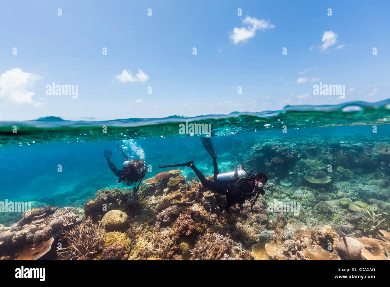 Split shot of divers exploring the coral formations of Agincourt Reef, Great Barrier Reef Marine Park, Port Douglas, Queensland, Australia Stock Photo