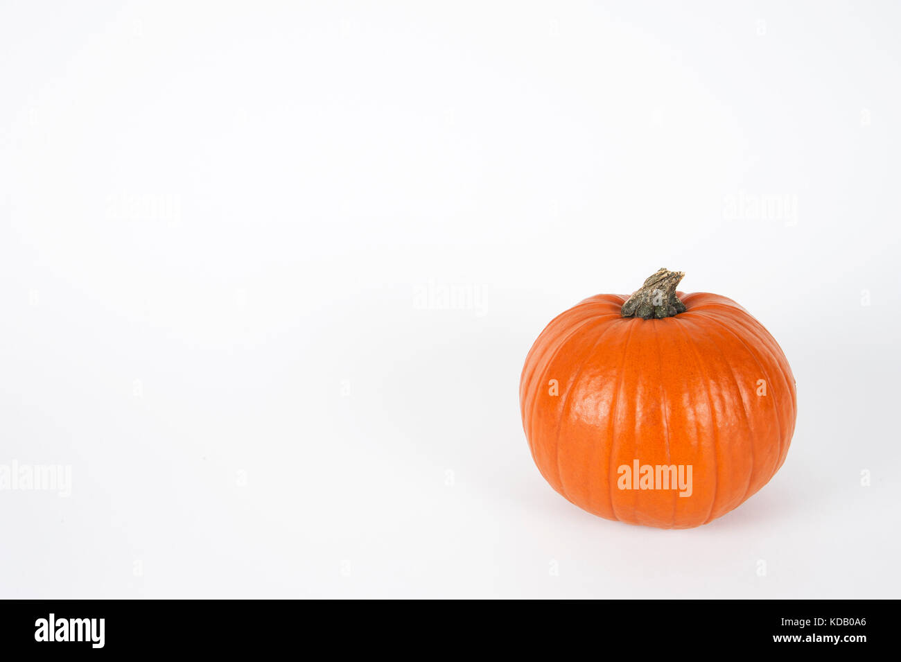 Orange pumpkin on a white background. Stock Photo