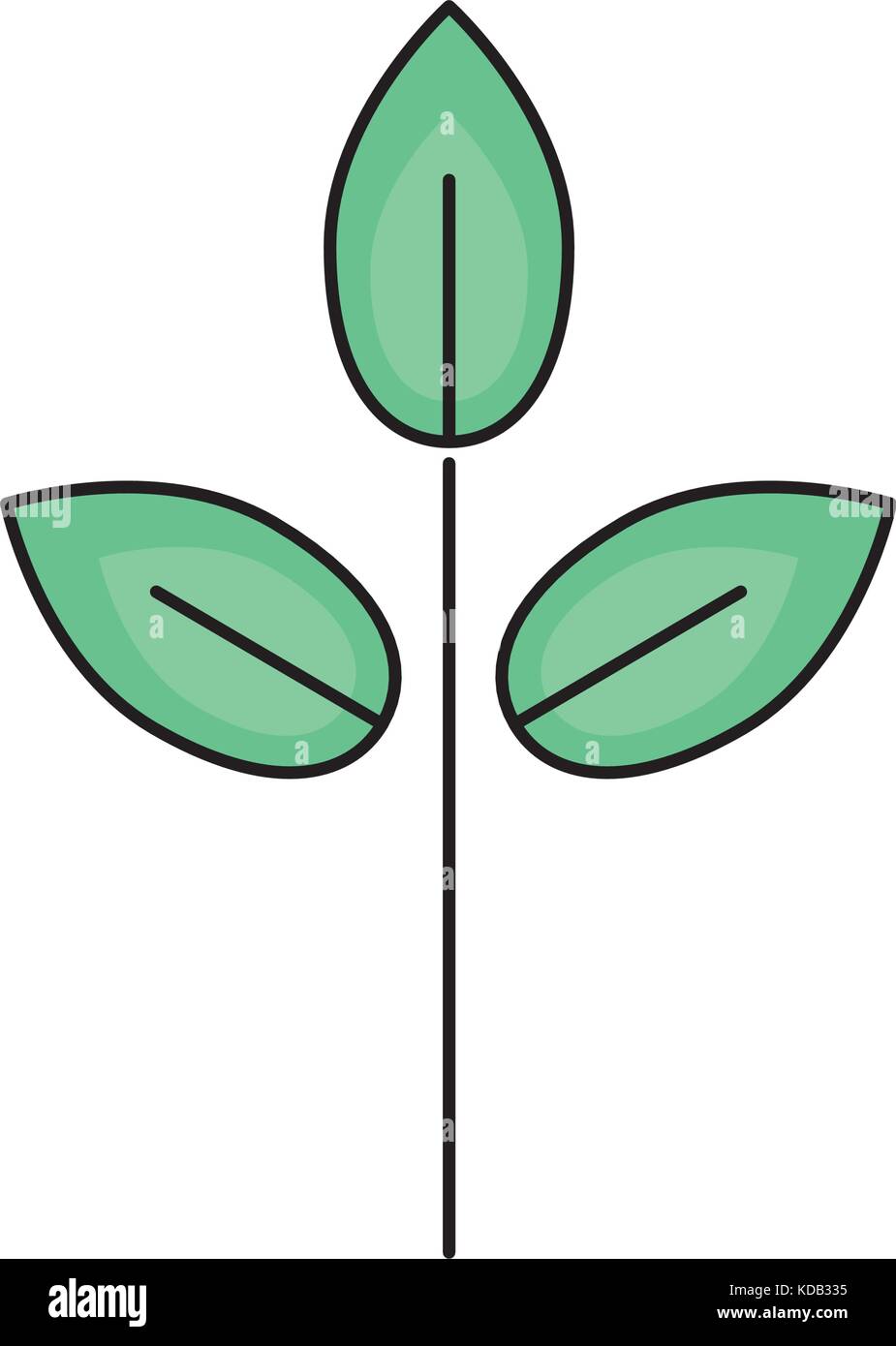 natural plant with leaves design to ecology care vector illustration ...