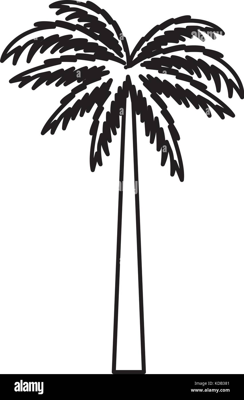 Tree palm symbol Stock Vector Image & Art Alamy