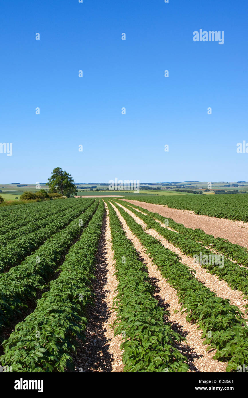 Chalky soil hires stock photography and images Alamy