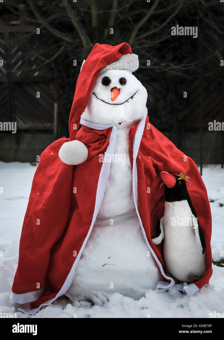 A funny snowman wearing christmas clothes and a penguin Stock Photo